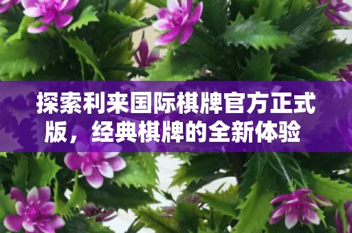 探索利来国际棋牌官方正式版图片
