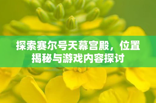 位置揭秘与游戏内容探讨图片