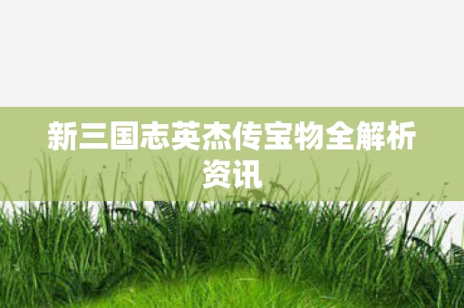 新三国志英杰传宝物全解析资讯图片