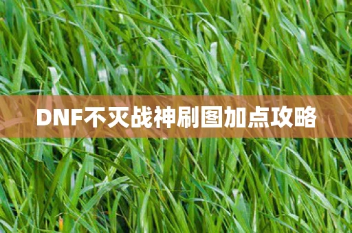DNF不灭战神刷图加点攻略图片