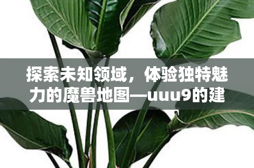 体验独特魅力的魔兽地图图片