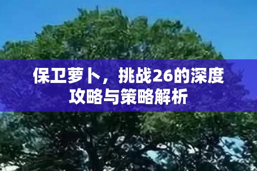 挑战26的深度攻略与策略解析图片