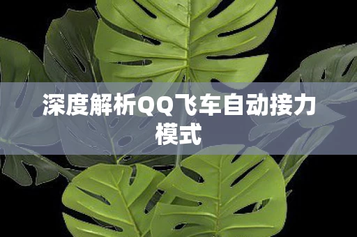 深度解析QQ飞车自动接力模式图片