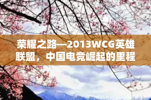2013WCG英雄联盟图片