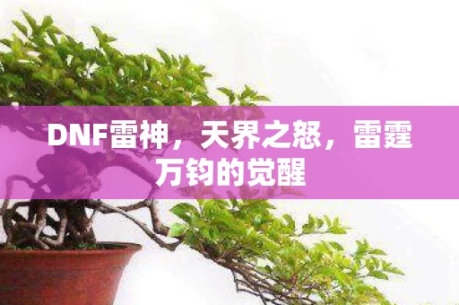 雷霆万钧的觉醒图片
