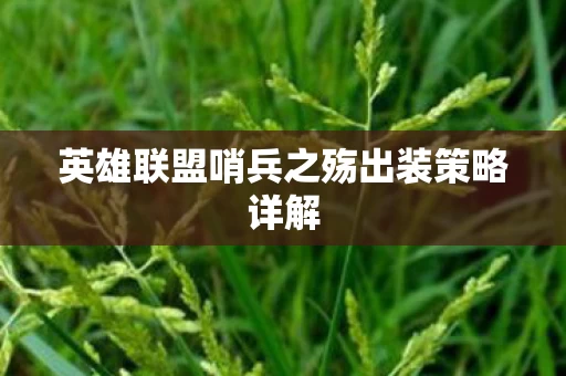 英雄联盟哨兵之殇出装策略详解图片