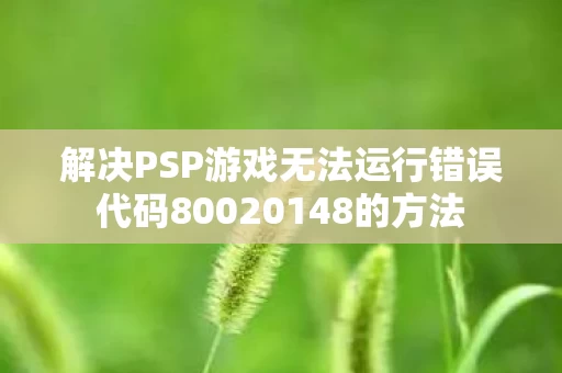 解决PSP游戏无法运行错误代码80020148的方法图片
