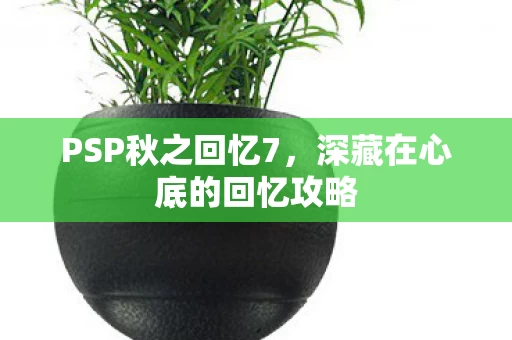 深藏在心底的回忆攻略图片