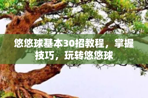 悠悠球基本30招教程图片