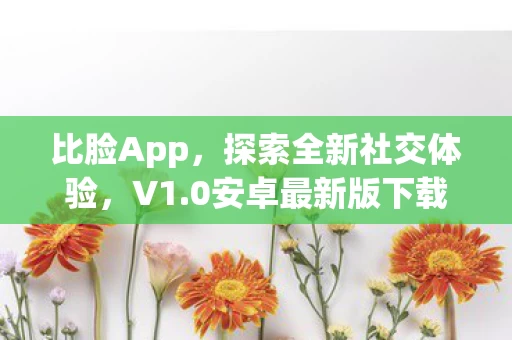 0安卓最新版下载指南图片