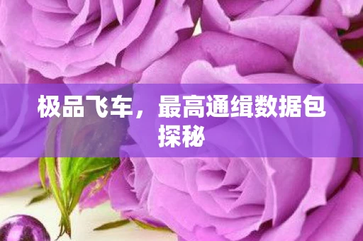 最高通缉数据包探秘图片
