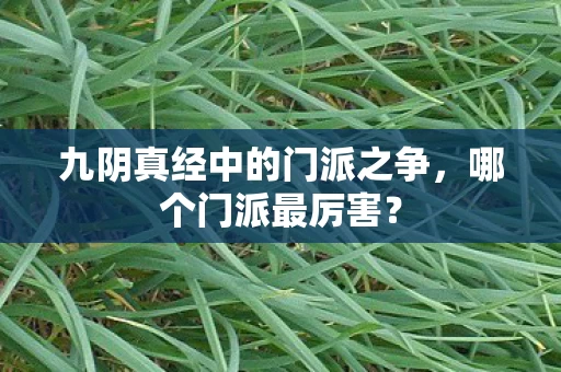 九阴真经中的门派之争图片