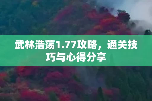通关技巧与心得分享图片