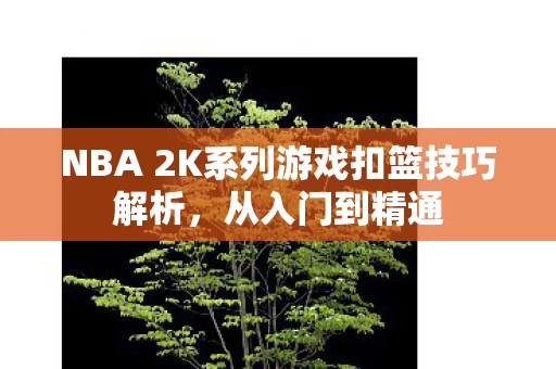 NBA 2K系列游戏扣篮技巧解析图片