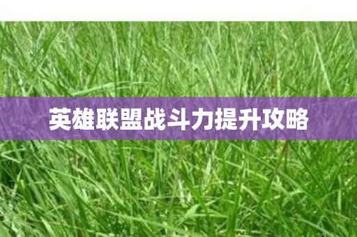 英雄联盟战斗力提升攻略图片