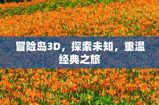 重温经典之旅图片