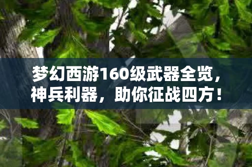 梦幻西游160级武器全览图片