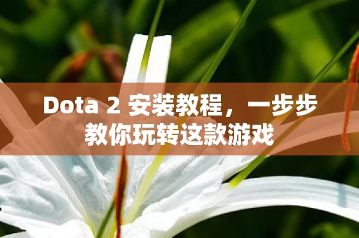 Dota 2 安装教程图片