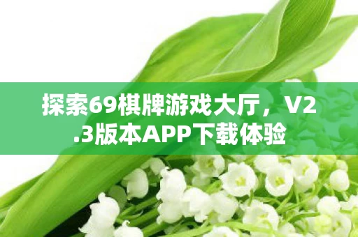 探索69棋牌游戏大厅图片