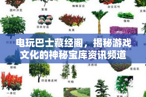 揭秘游戏文化的神秘宝库资讯频道图片