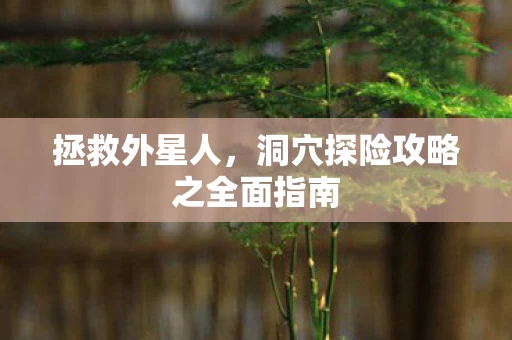 洞穴探险攻略之全面指南图片
