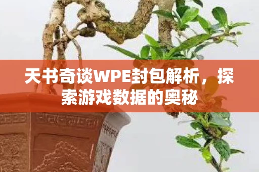 天书奇谈WPE封包解析图片