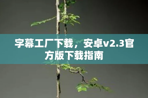3官方版下载指南图片