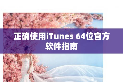 正确使用iTunes 64位官方软件指南图片