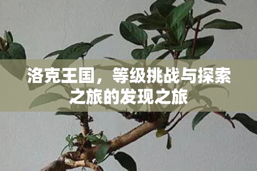 等级挑战与探索之旅的发现之旅图片