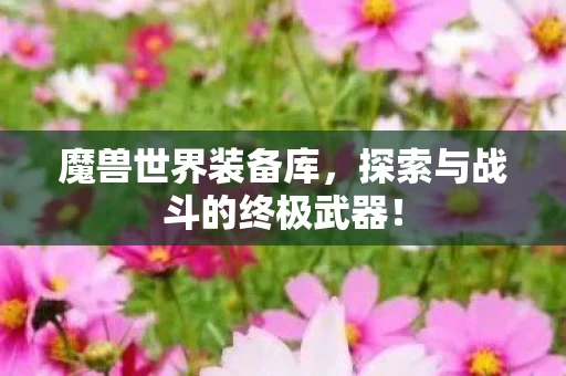 探索与战斗的终极武器图片