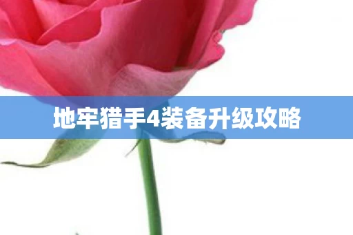 地牢猎手4装备升级攻略图片