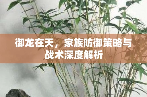家族防御策略与战术深度解析图片