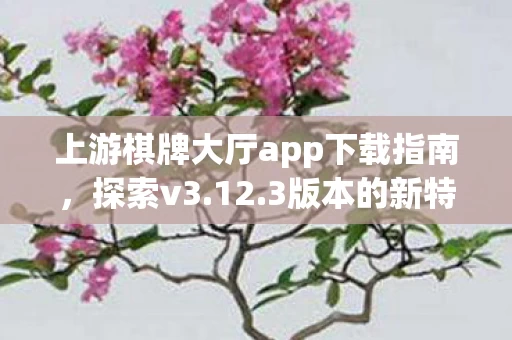 上游棋牌大厅app下载指南图片