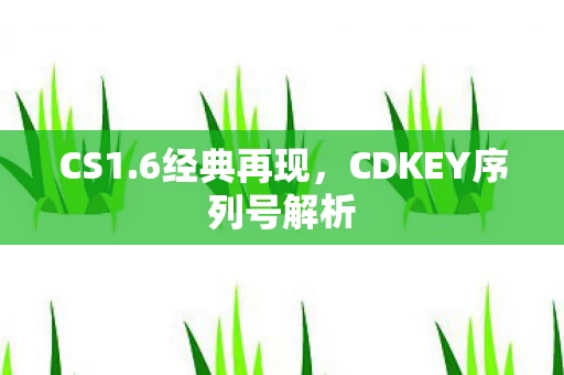 CDKEY序列号解析图片