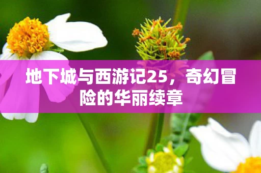 地下城与西游记25图片