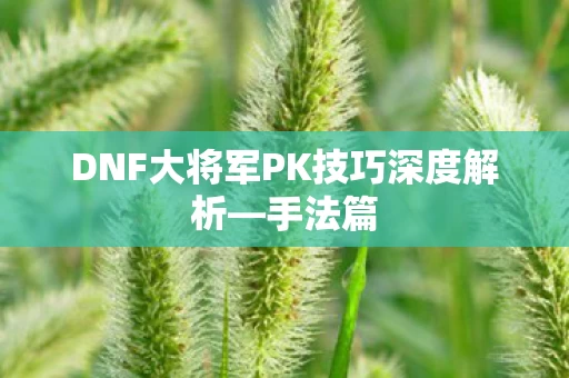 DNF大将军PK技巧深度解析图片