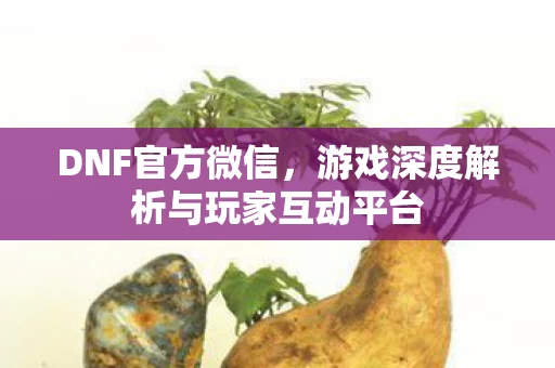 游戏深度解析与玩家互动平台图片