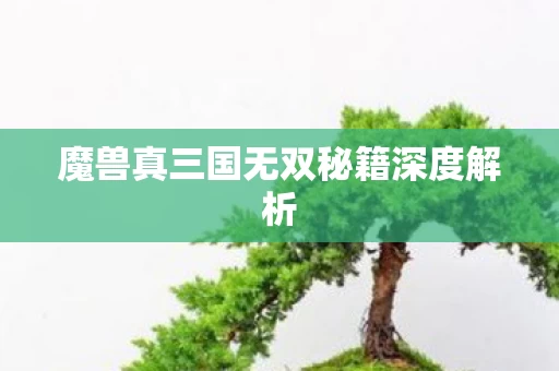 魔兽真三国无双秘籍深度解析图片