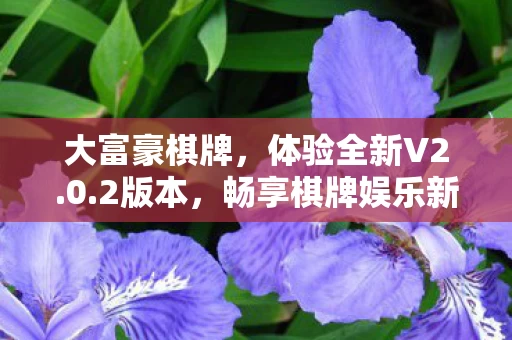 畅享棋牌娱乐新境界图片