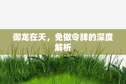 免做令牌的深度解析图片