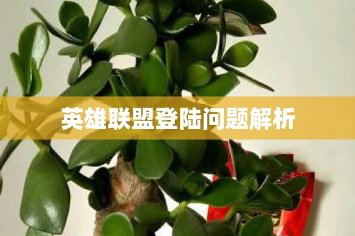 英雄联盟登陆问题解析图片