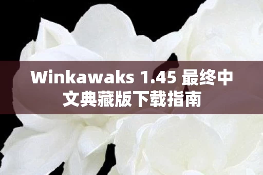 45 最终中文典藏版下载指南图片