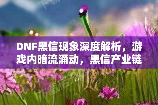 DNF黑信现象深度解析图片