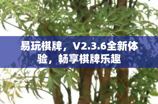 畅享棋牌乐趣图片