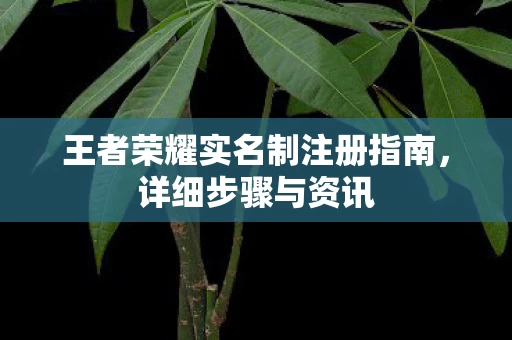 王者荣耀实名制注册指南图片
