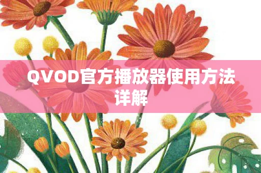 QVOD官方播放器使用方法详解图片