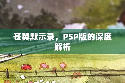 PSP版的深度解析图片