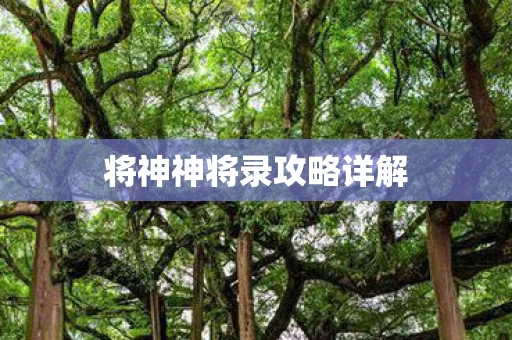 将神神将录攻略详解图片