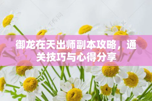 御龙在天出师副本攻略图片