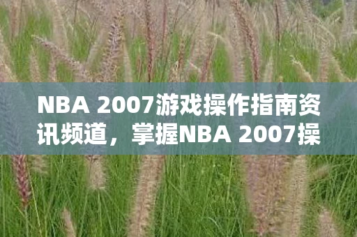 NBA 2007游戏操作指南资讯频道图片